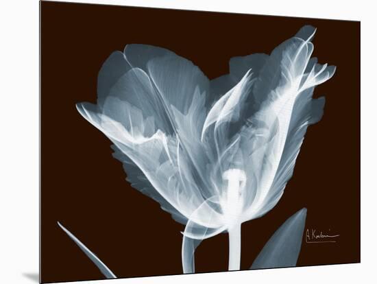 Tulip Blossom Portrait-Albert Koetsier-Mounted Art Print