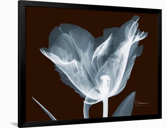 Tulip Blossom Portrait-Albert Koetsier-Framed Art Print