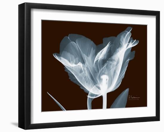 Tulip Blossom Portrait-Albert Koetsier-Framed Art Print