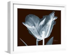 Tulip Blossom Portrait-Albert Koetsier-Framed Art Print