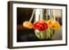 Tulip blossoms on black table-Christine Meder stage-art.de-Framed Photographic Print