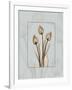 Tulip Blu Brown 2-Albert Koetsier-Framed Art Print