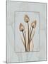 Tulip Blu Brown 2-Albert Koetsier-Mounted Art Print