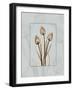 Tulip Blu Brown 2-Albert Koetsier-Framed Art Print