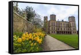 Tulip Border, Pathway and Lawn in Spring at Hardwick Hall, Near Chesterfield, Derbyshire, England-Eleanor Scriven-Framed Stretched Canvas