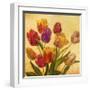 Tulip Bouquet-Emma Styles-Framed Art Print