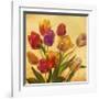 Tulip Bouquet-Emma Styles-Framed Art Print