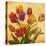 Tulip Bouquet-Emma Styles-Stretched Canvas