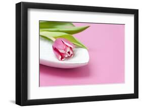 Tulip, Bowl, Porcelain, Pink, Table-Sebastian Scheuerecker-Framed Photographic Print