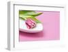 Tulip, Bowl, Porcelain, Pink, Table-Sebastian Scheuerecker-Framed Photographic Print