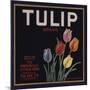 Tulip Brand - Porterville, California - Citrus Crate Label-Lantern Press-Mounted Art Print