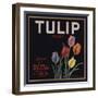 Tulip Brand - Porterville, California - Citrus Crate Label-Lantern Press-Framed Art Print