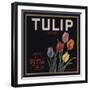 Tulip Brand - Porterville, California - Citrus Crate Label-Lantern Press-Framed Art Print