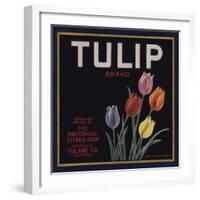 Tulip Brand - Porterville, California - Citrus Crate Label-Lantern Press-Framed Art Print