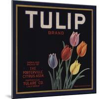 Tulip Brand - Porterville, California - Citrus Crate Label-Lantern Press-Mounted Art Print