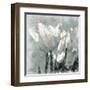 Tulip Breeze-Malcolm Sanders-Framed Giclee Print