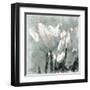 Tulip Breeze-Malcolm Sanders-Framed Giclee Print