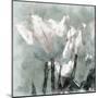 Tulip Breeze-Malcolm Sanders-Mounted Giclee Print