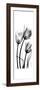 Tulip C54-Albert Koetsier-Framed Art Print