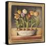 Tulip Classic Bulb-Lisa Audit-Framed Stretched Canvas
