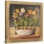 Tulip Classic Bulb-Lisa Audit-Stretched Canvas