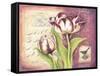 Tulip Collage I-Gwendolyn Babbitt-Framed Stretched Canvas