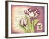 Tulip Collage I-Gwendolyn Babbitt-Framed Art Print