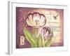 Tulip Collage II-Gwendolyn Babbitt-Framed Art Print