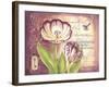 Tulip Collage II-Gwendolyn Babbitt-Framed Art Print