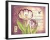 Tulip Collage II-Gwendolyn Babbitt-Framed Art Print