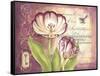 Tulip Collage II-Gwendolyn Babbitt-Framed Stretched Canvas