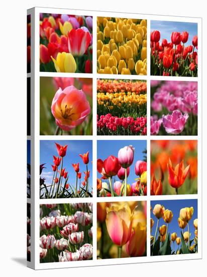 Tulip Collage-SNEHITDESIGN-Stretched Canvas