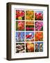 Tulip Collage-SNEHITDESIGN-Framed Photographic Print