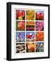 Tulip Collage-SNEHITDESIGN-Framed Photographic Print