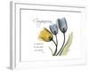 Tulip Compassion-Albert Koetsier-Framed Premium Giclee Print