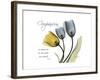 Tulip Compassion-Albert Koetsier-Framed Premium Giclee Print