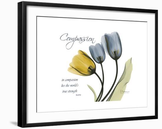 Tulip Compassion-Albert Koetsier-Framed Premium Giclee Print