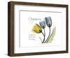 Tulip Compassion-Albert Koetsier-Framed Premium Giclee Print