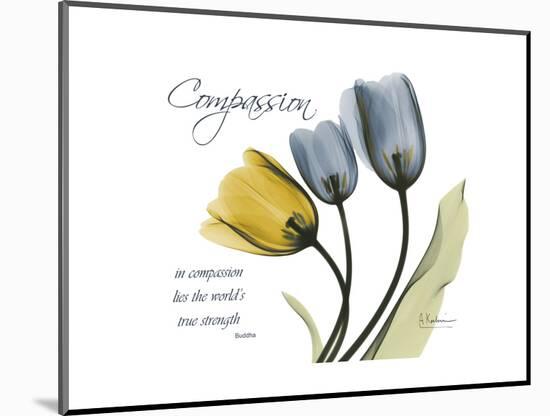 Tulip Compassion-Albert Koetsier-Mounted Premium Giclee Print