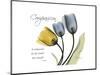 Tulip Compassion-Albert Koetsier-Mounted Premium Giclee Print