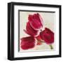 Tulip Concerto II-Luca Villa-Framed Art Print