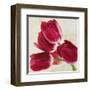 Tulip Concerto II-Luca Villa-Framed Art Print