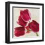 Tulip Concerto II-Luca Villa-Framed Art Print