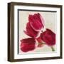 Tulip Concerto II-Luca Villa-Framed Art Print