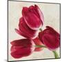Tulip Concerto II-Luca Villa-Mounted Art Print