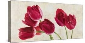 Tulip Concerto-Luca Villa-Stretched Canvas