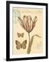 Tulip Curiosity-Chad Barrett-Framed Art Print