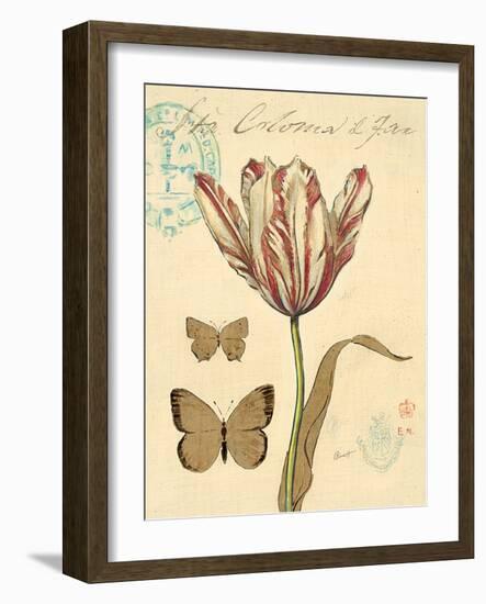 Tulip Curiosity-Chad Barrett-Framed Art Print