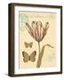 Tulip Curiosity-Chad Barrett-Framed Art Print