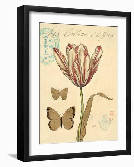 Tulip Curiosity-Chad Barrett-Framed Art Print